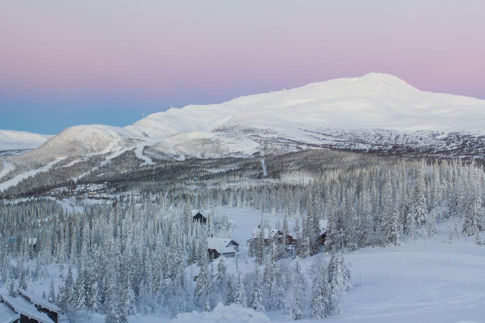 Free Image of Snow Covered Mountain With Trees 