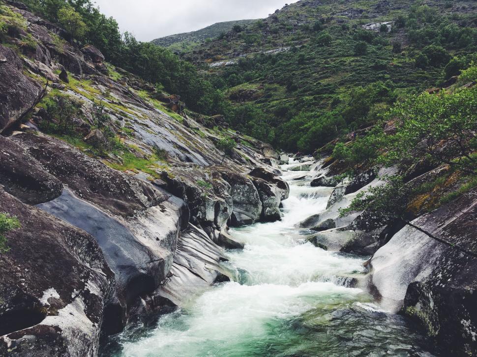 Free Image of River Flowing Through Lush Green Forest 