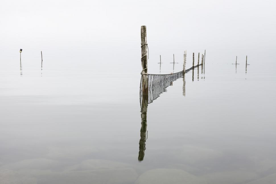 Free Image of Pole Protruding From Water 