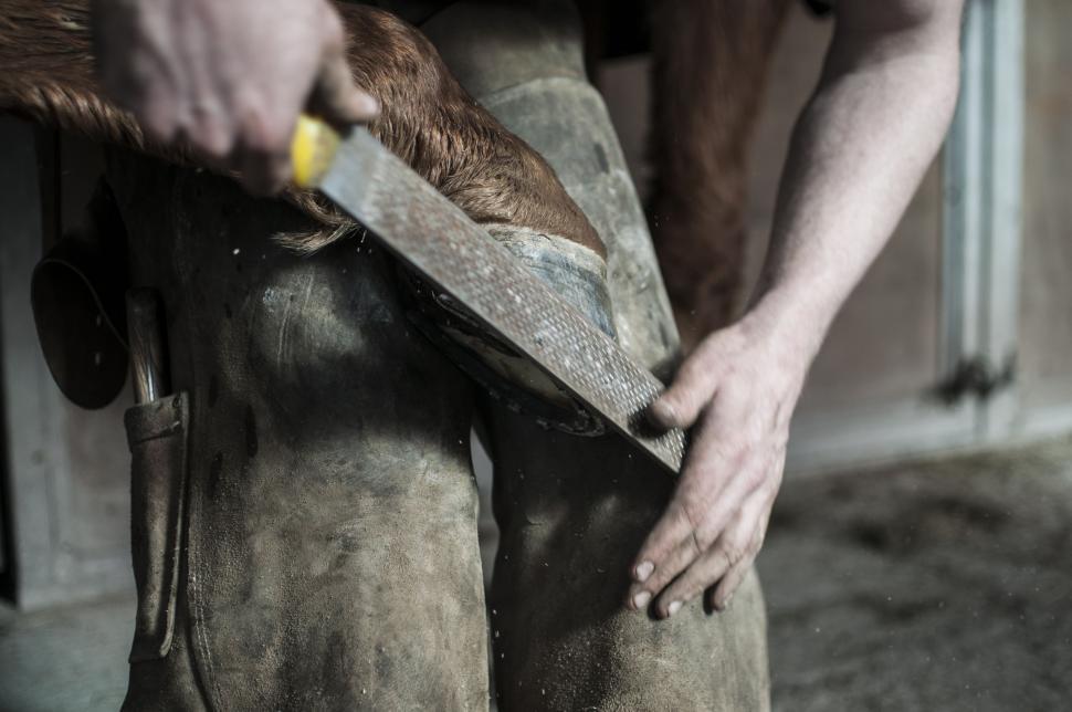 Free Image of Man Holding Large Knife in Right Hand 