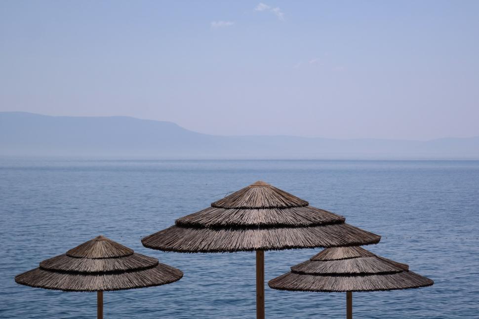 Free Image of Group of Straw Umbrellas on Beach 