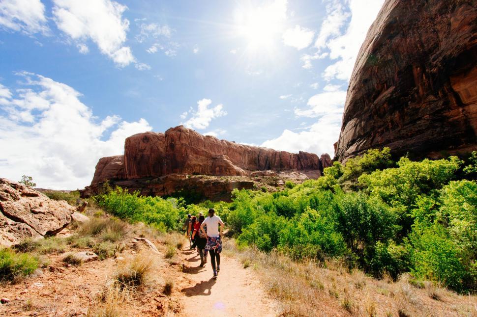 Free Image of Couple Walking Down Dirt Road 