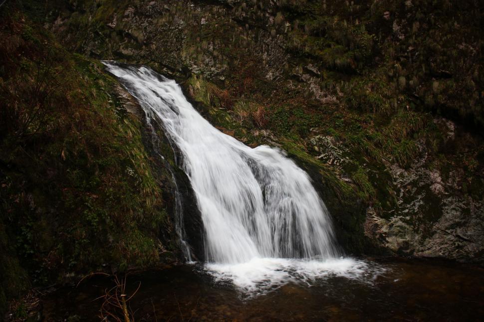 Free Image of Small Waterfall in Forest 
