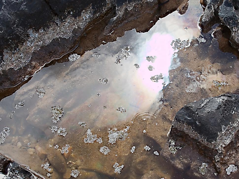 Free Image of Brine pool 