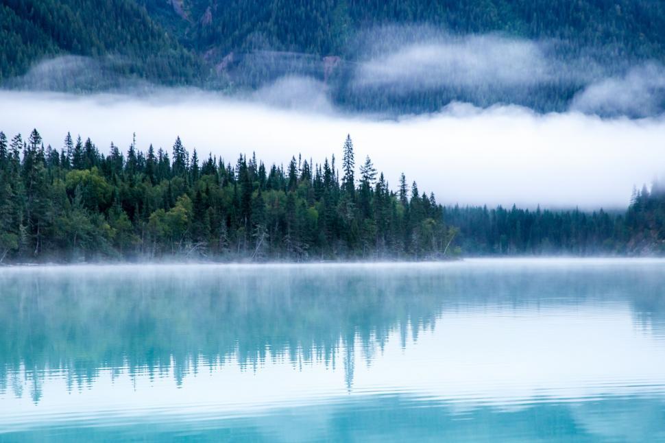 Free Image of Forest-Encircled Lake 