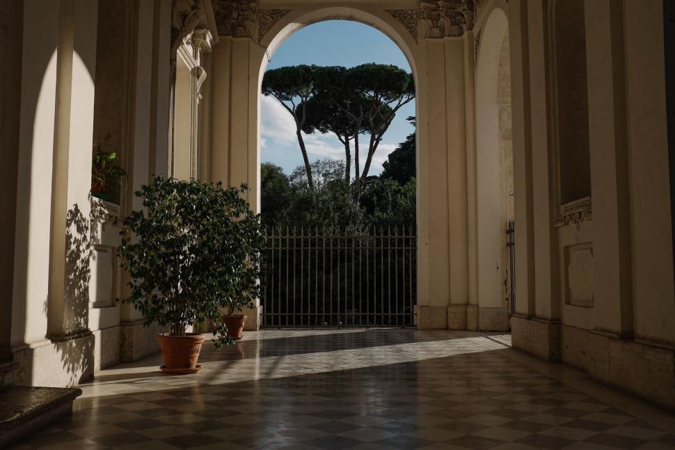Free Image of Tree Growing in Doorway 