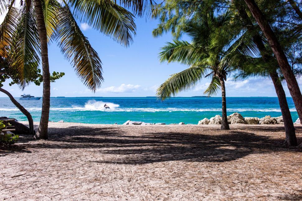 Free Image of Palm Trees, Beach, Boat 