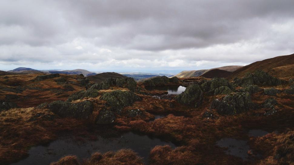 Free Image of Aerial View of Rocky Area With White Dog 