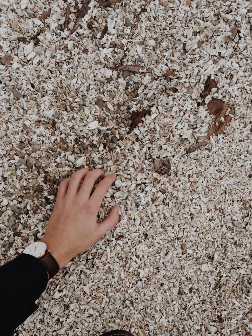 Free Image of Persons Hand Reaching for Object on the Ground 