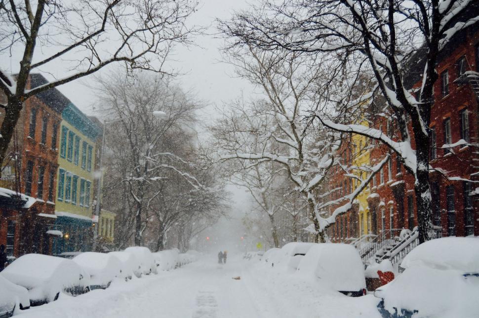 Free Image of Snowy Street With Parked Cars and Trees 