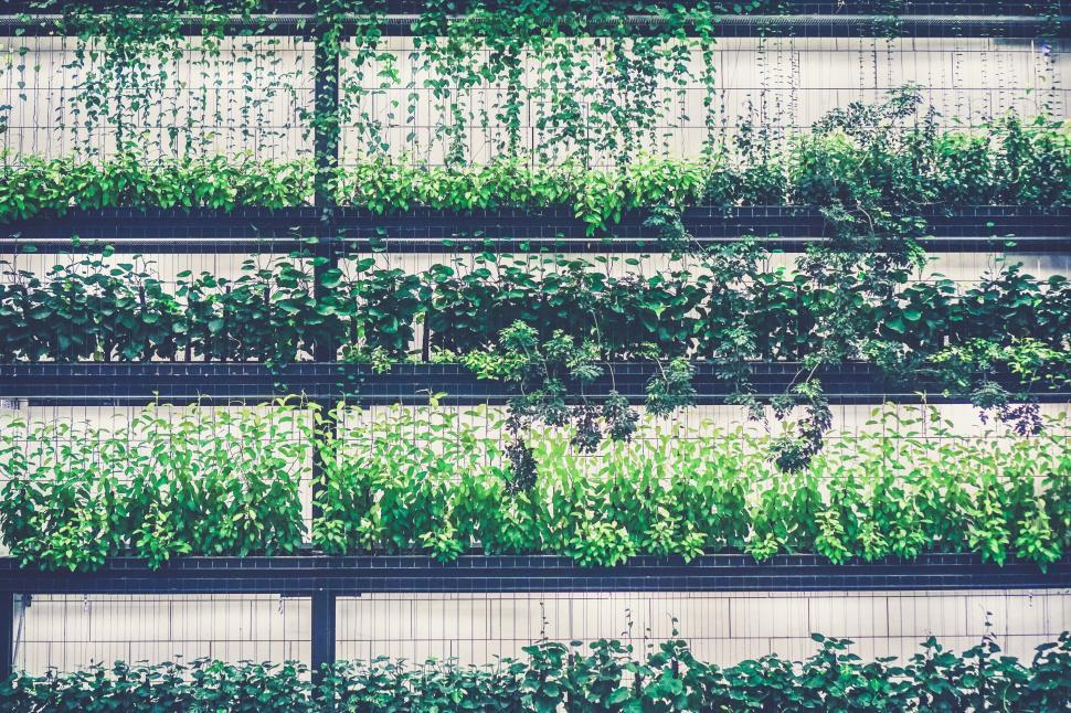 Free Image of Array of Plants Potted on a Wall 