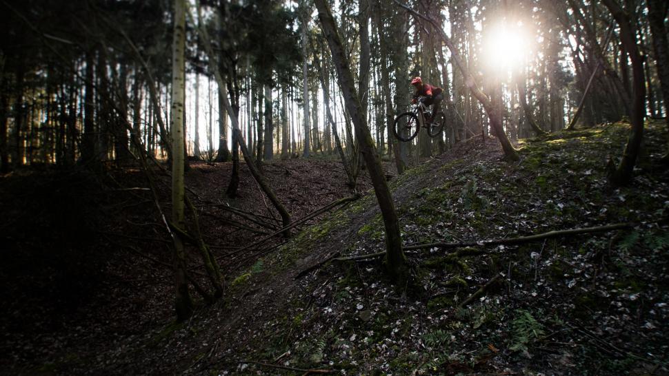 Free Image of Person Riding a Bike on Trail in Woods 