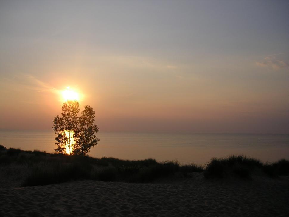 Free Image of Sunset behind a tree 