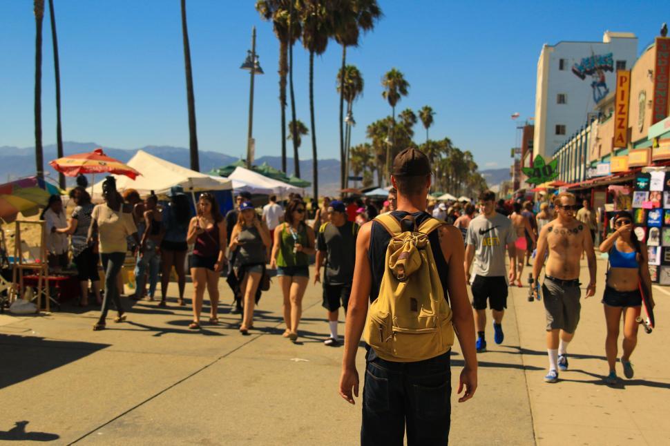 Free Image of Crowded Street Scene With Tall Palm Trees 