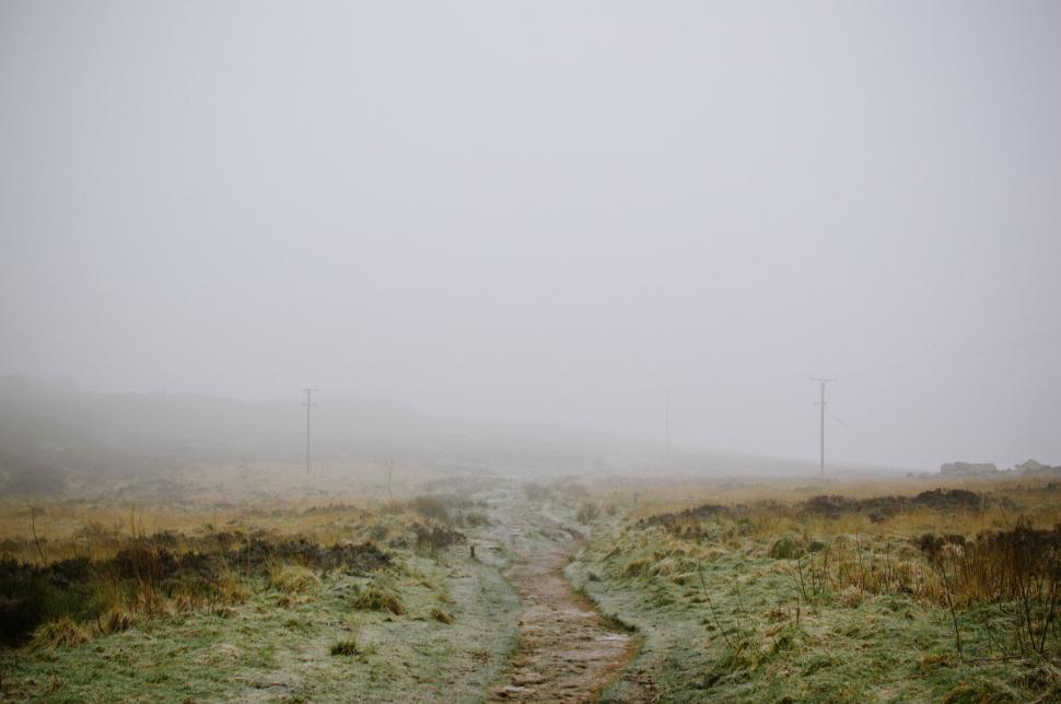 Free Image of Foggy Field With Dirt Road 