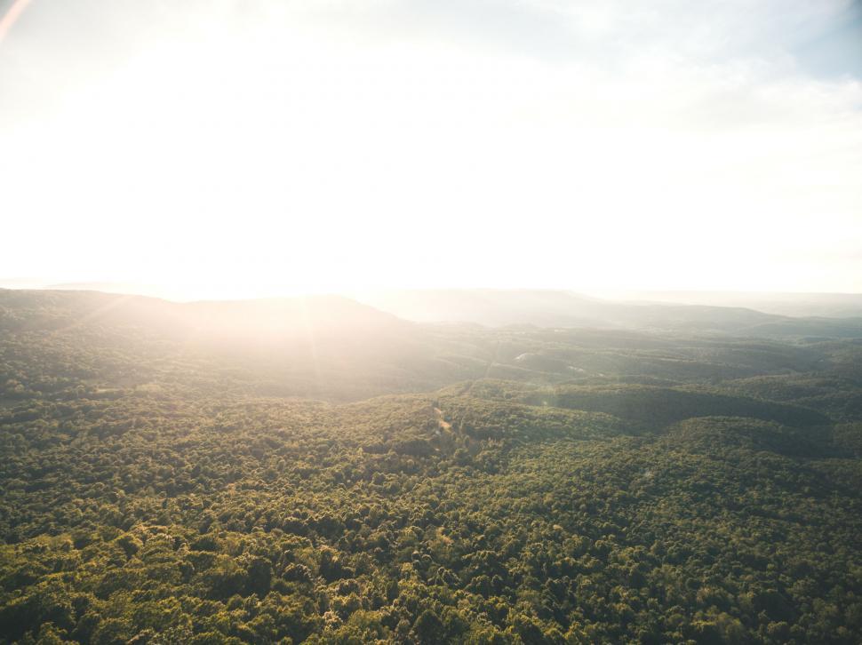 Free Image of A Plane Flying Over a Lush Green Forest Under a Blue Sky 