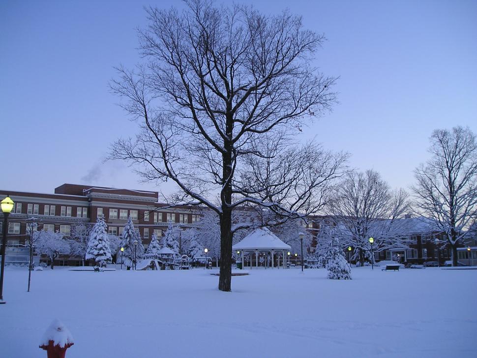 Free Image of Winter Day 