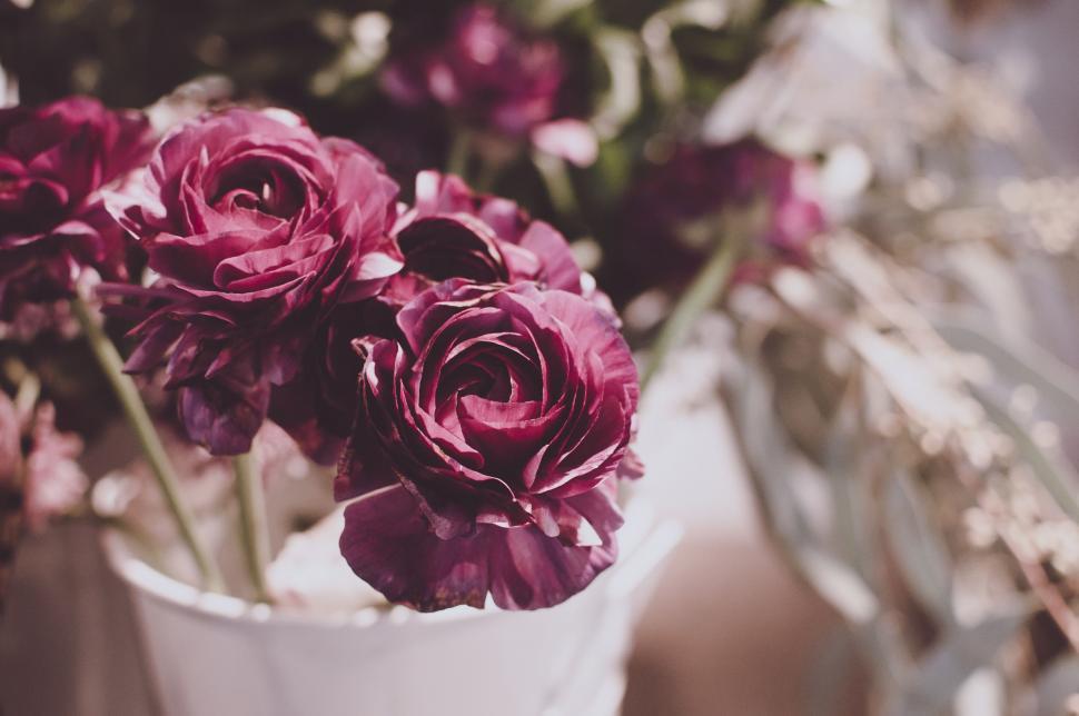 Free Image of White Vase Filled With Purple Flowers on Table 