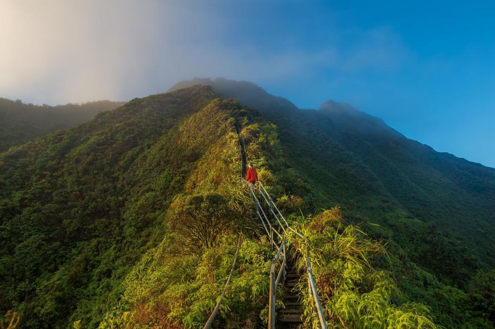 Free Image of Man Walking Up Green Mountain 