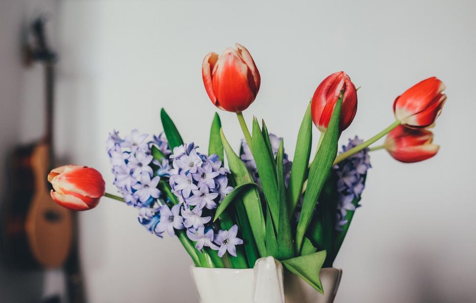 Free Image of White Vase Filled With Red and Blue Flowers 