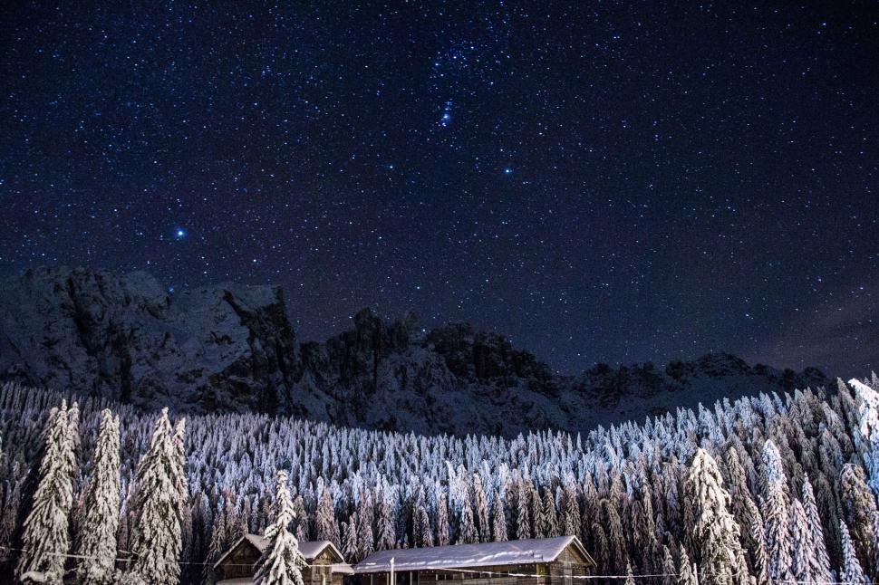 Free Image of Cabin in the Forest Under Night Sky 