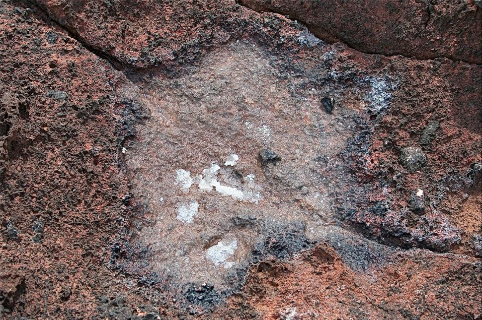 Free Image of Dry brine pool 