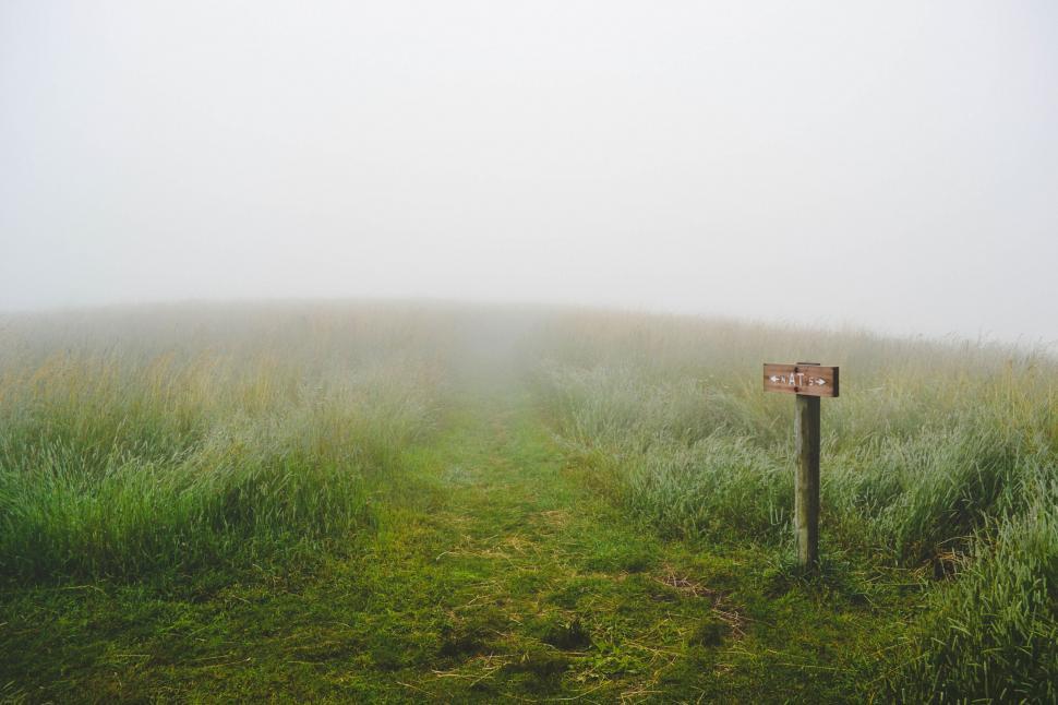 Free Image of Foggy Field With Sign 