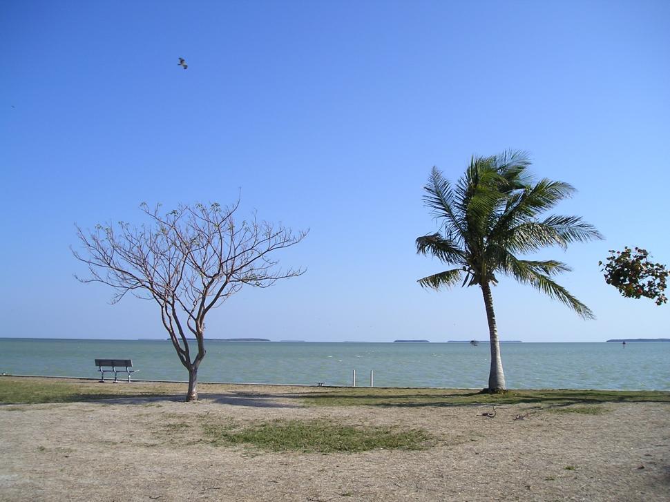 Free Image of Key Largo 