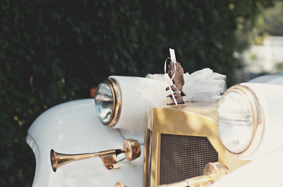 Free Image of Close Up of Old Fashioned Car With Bird on Hood 