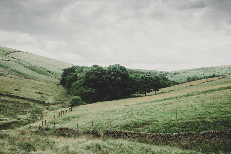 Free Image of Green Hillside With Fence and Trees 