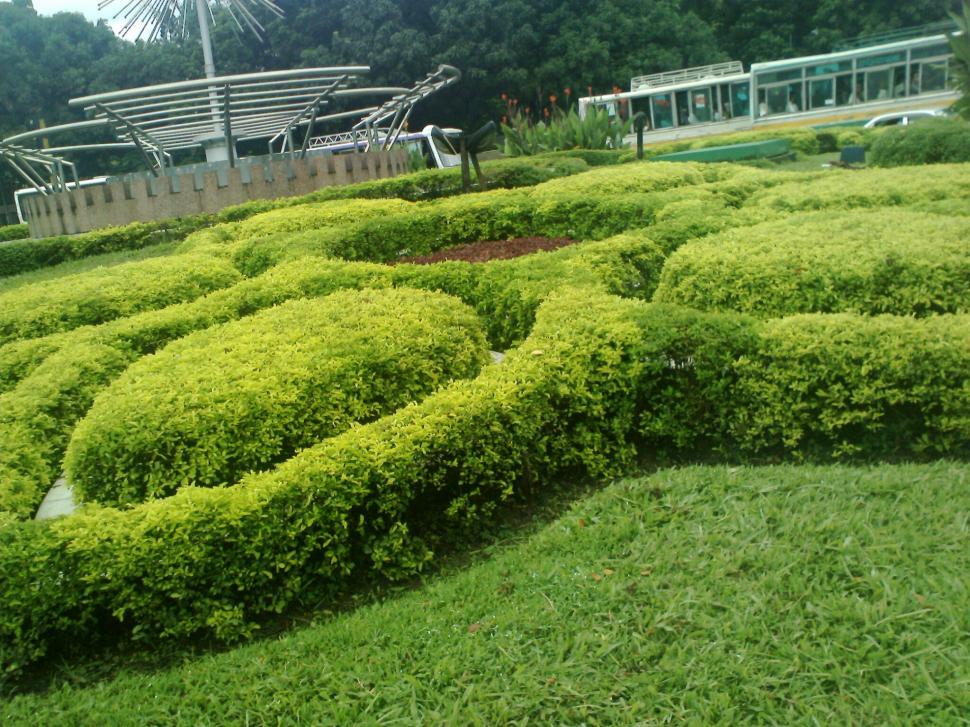 Free Image of natural garden 