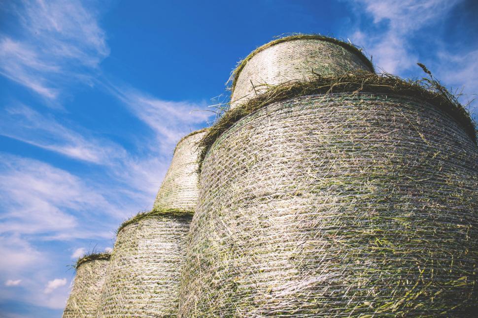 Free Image of Hay Pile Resting on Field 