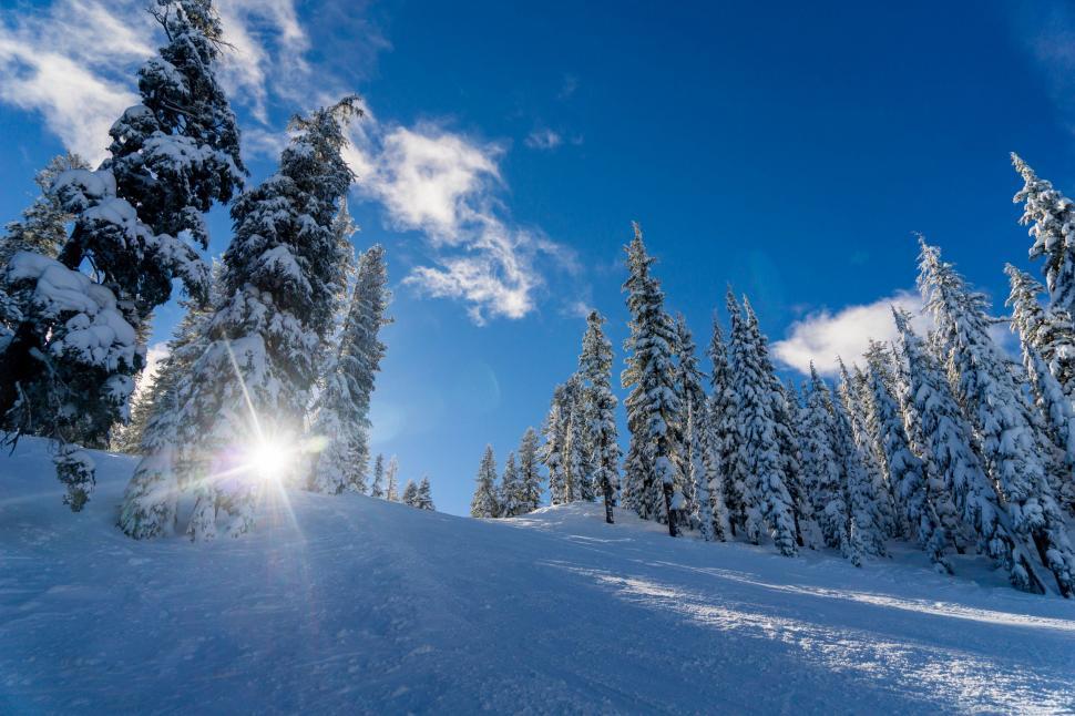 Free Image of Person Snowboarding Down Snow Covered Slope 