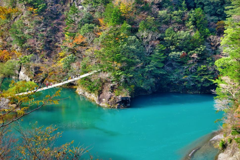 Free Image of Large Body of Water Surrounded by Trees 