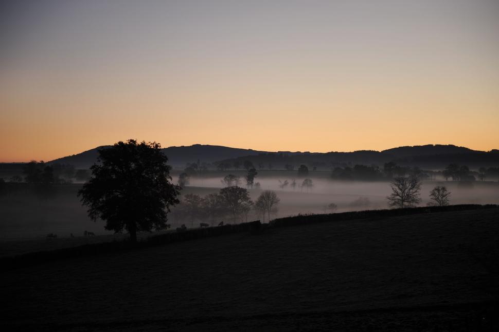 Free Image of Foggy Landscape With Trees and Hills 