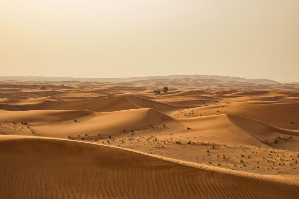 Free Image of Lone Tree in the Distance in Desert Landscape 