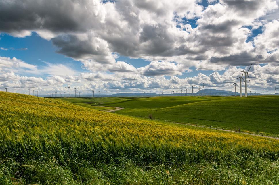 Free Image of Wind Turbines on Green Field 
