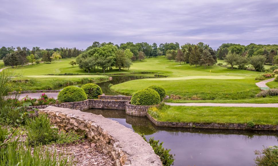 Free Image of River Flowing Through Green Park 