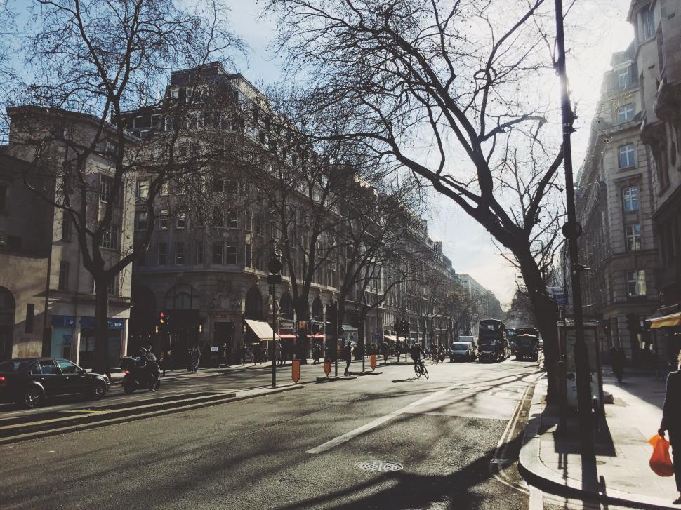 Free Image of City Street Filled With Tall Buildings 