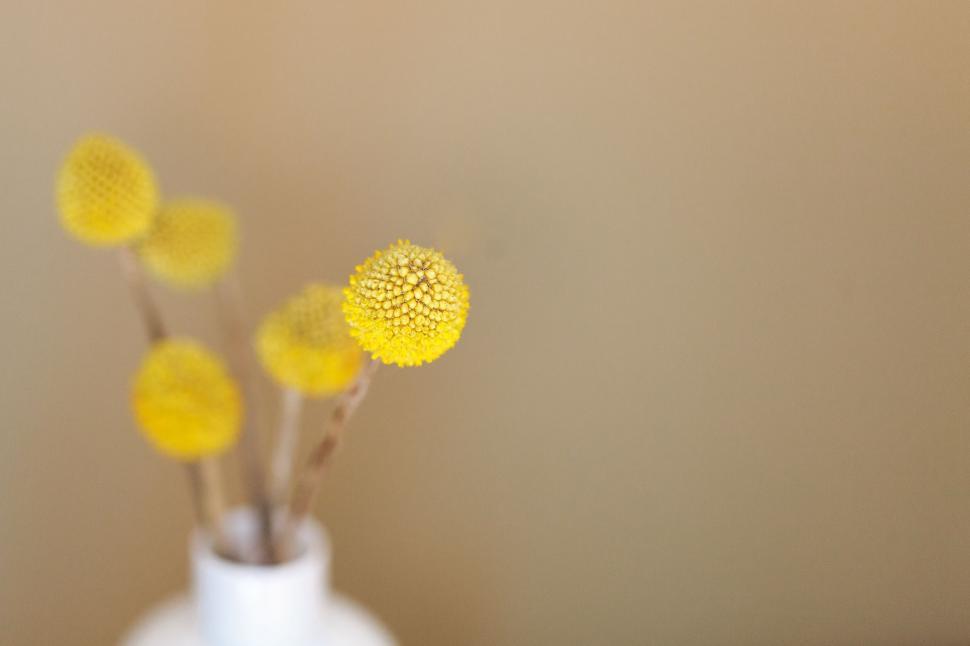 Free Image of White Vase Filled With Yellow Flowers on Table 