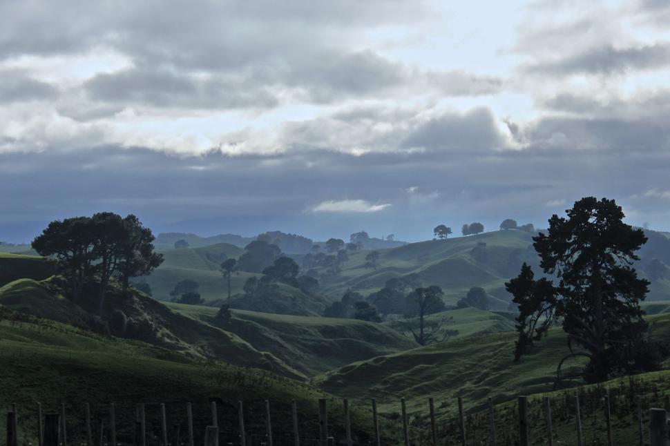 Free Image of Field With Trees and Fence 