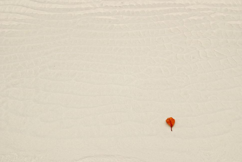Free Image of Red Balloon Floating in the Sky 