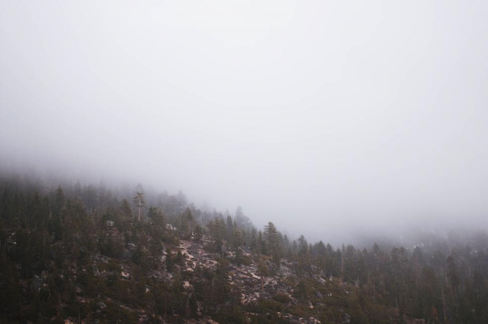 Free Image of Snowboarder Descending Snowy Hill 