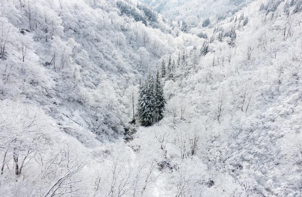 Free Image of Snowy Mountain Landscape in Black and White 