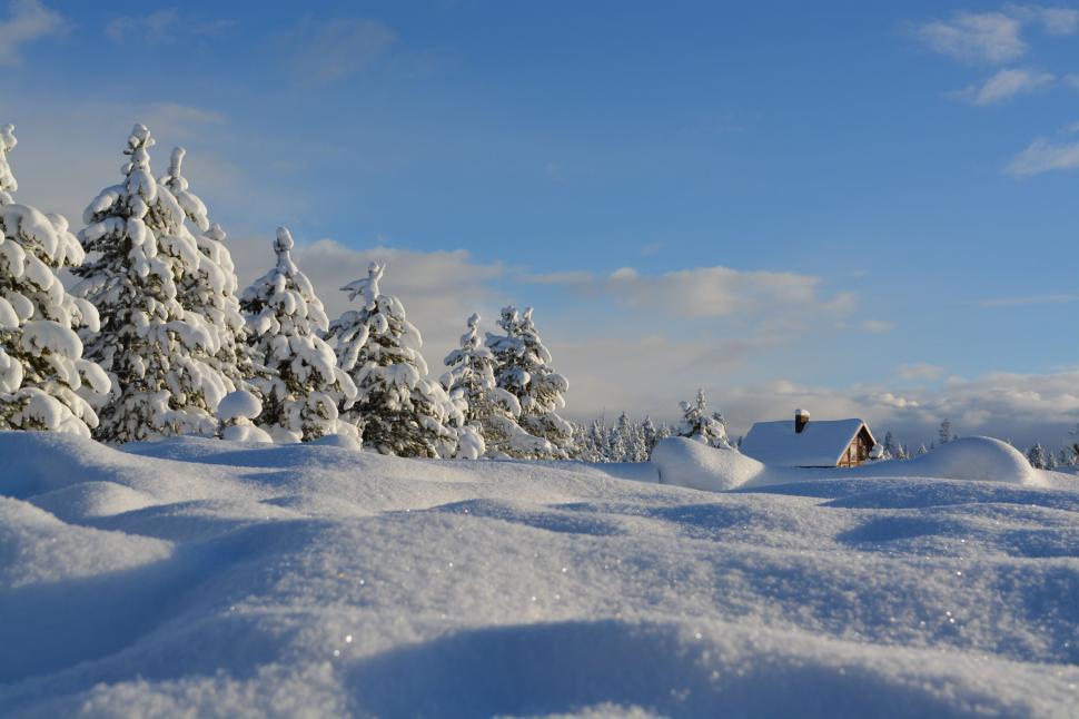 Free Image of Snow Covered Field With Trees in Background 