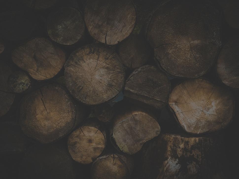 Free Image of A Pile of Potatoes on a Table 