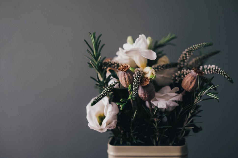 Free Image of Vase Filled With White Flowers 