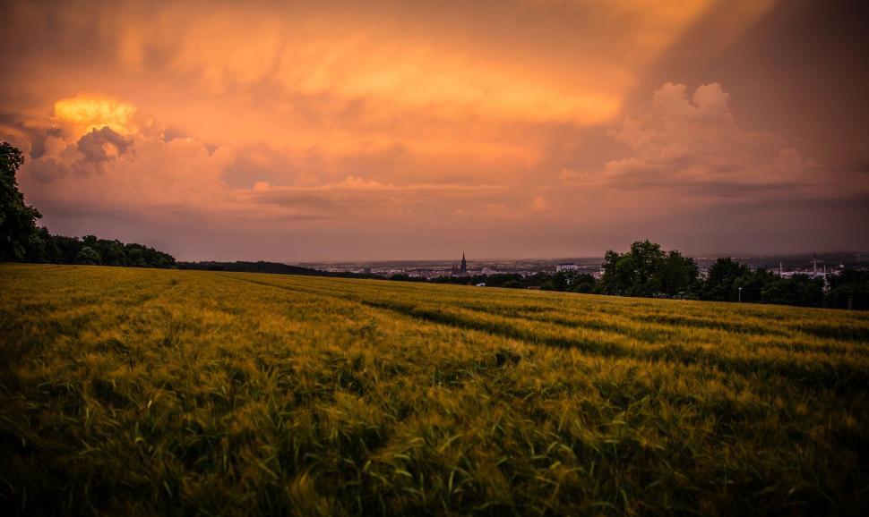 Free Image of Green Grass Field Under Cloudy Sky 