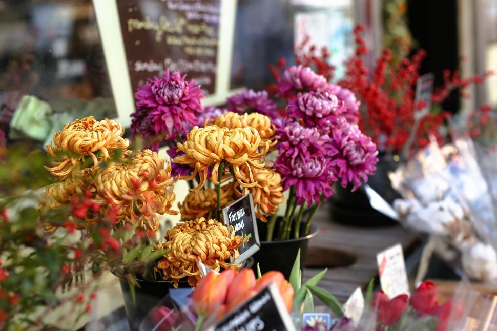 Free Image of A Bunch of Flowers on a Table 