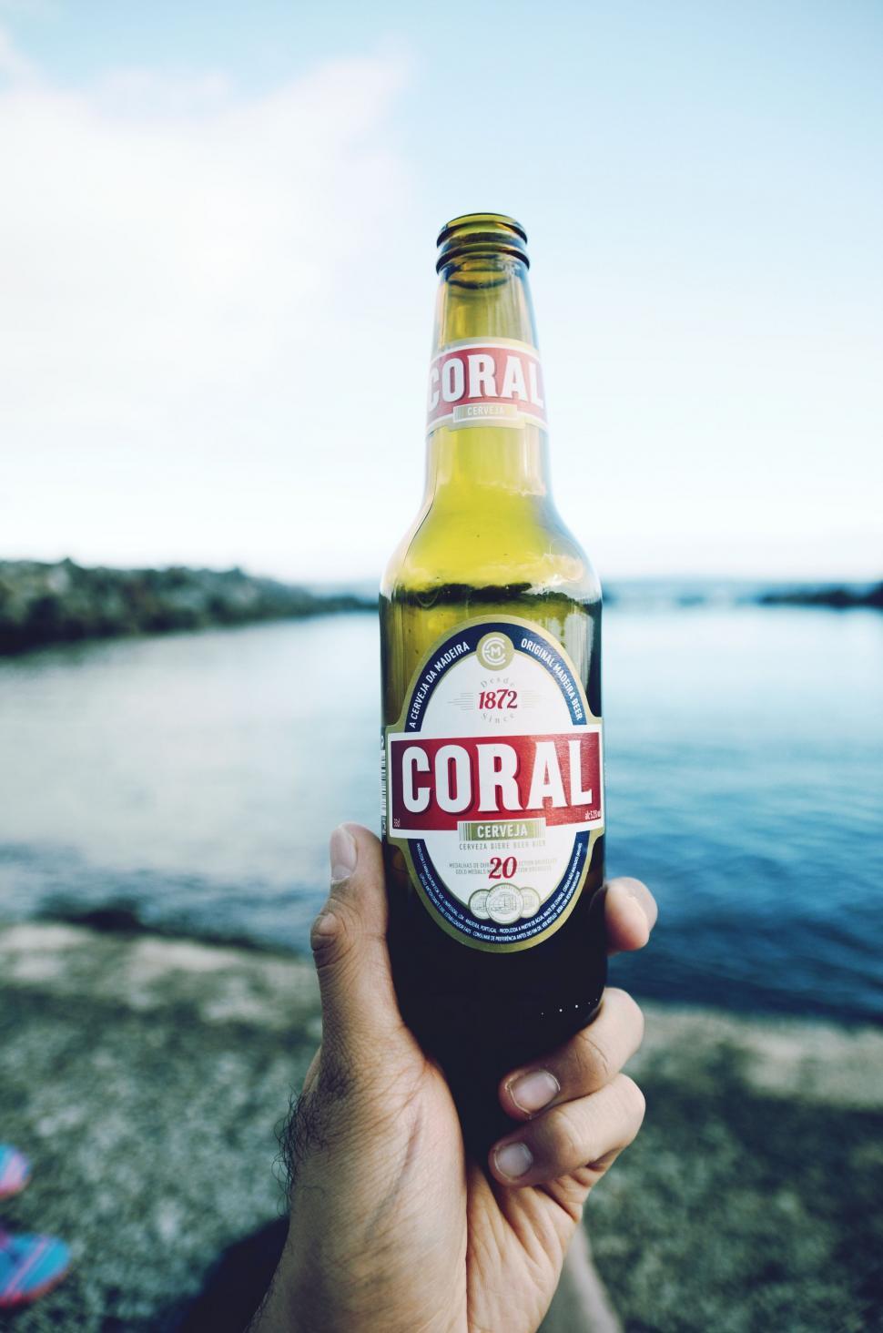 Free Image of Person Holding Up a Bottle of Corona Beer 